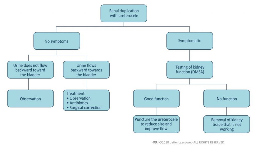 Fig. 1: Treatment decision making for congenital malformations in the urinary tract.