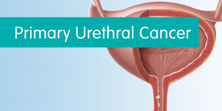 Cancers - Patient Information